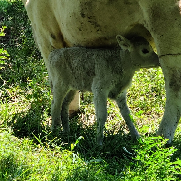 My Babies 😍❤ - Picture 2 of 13